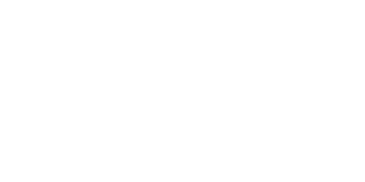 Flutter